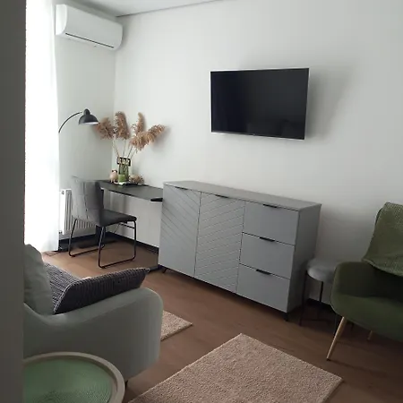 Apartment New Near The Palm Tree Uschhorod