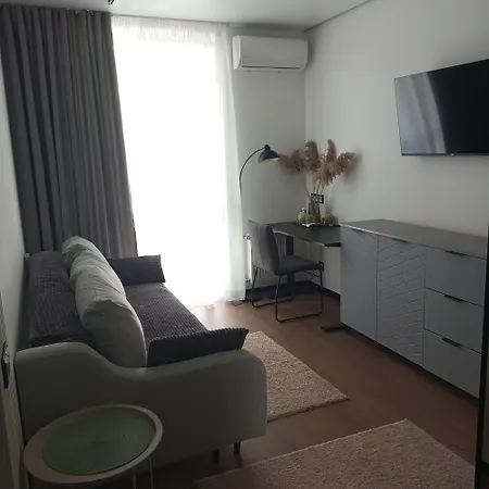 New Near The Palm Tree