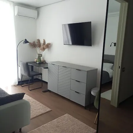 New Near The Palm Tree