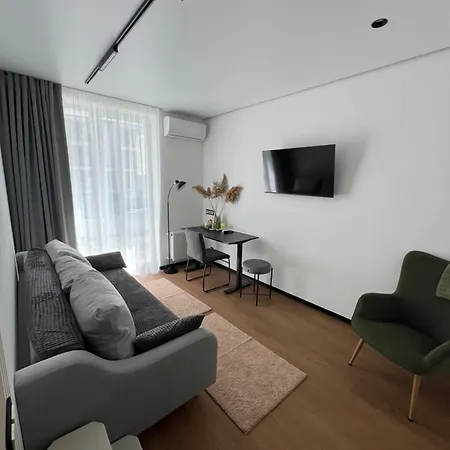 Apartment New Near The Palm Tree Uschhorod