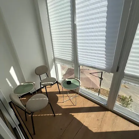 New Near The Palm Tree * Užhorod