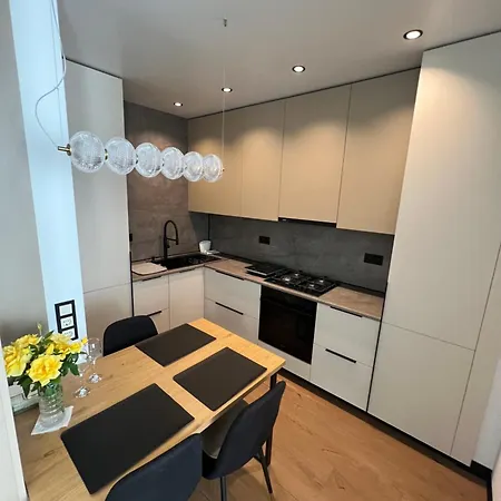 Apartment New Near The Palm Tree Uschhorod