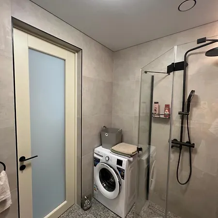 New Near The Palm Tree