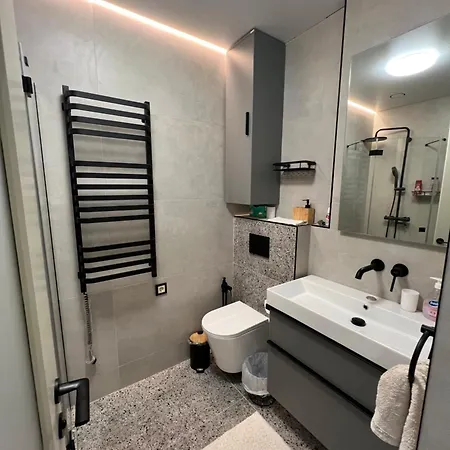 New Near The Palm Tree