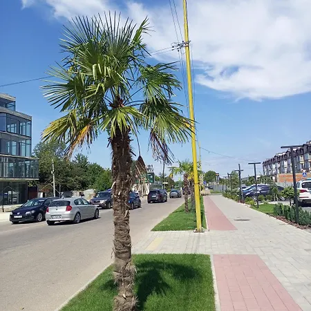 New Near The Palm Tree Appartamento