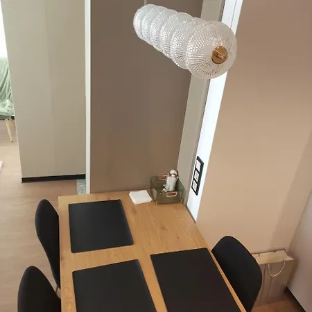 New Near The Palm Tree * Uschhorod