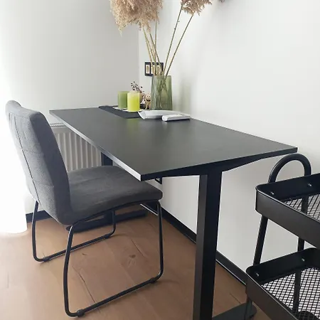 New Near The Palm Tree