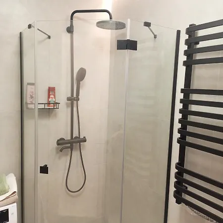 New Near The Palm Tree * Užhorod