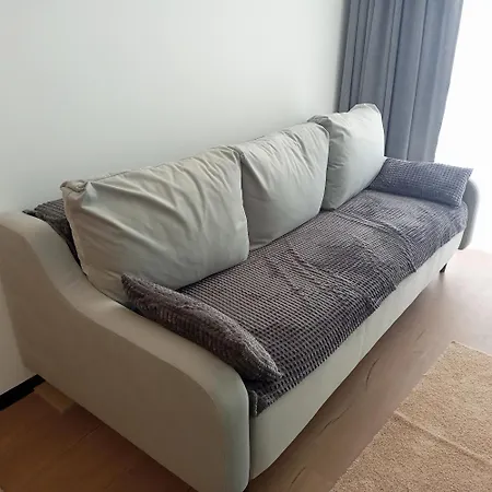 New Near The Palm Tree Apartment *