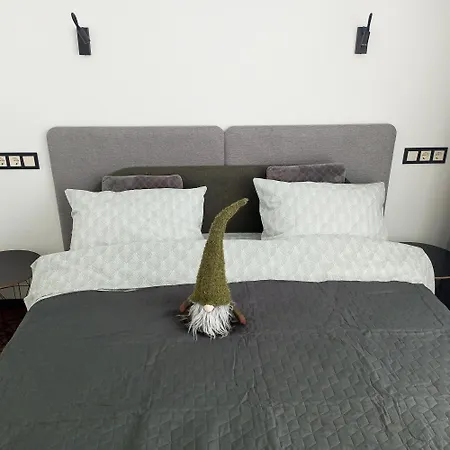 Apartment New Near The Palm Tree Uschhorod