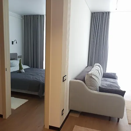 New Near The Palm Tree *