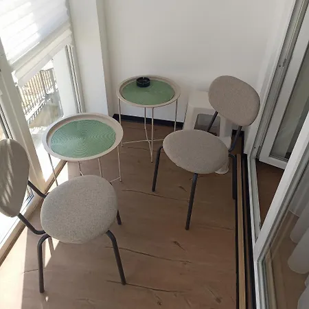 New Near The Palm Tree Užhorod