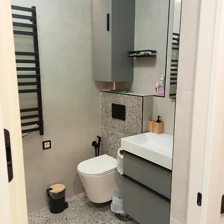 New Near The Palm Tree * Užhorod