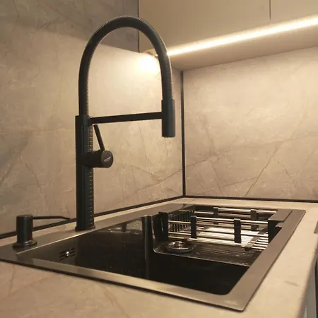 New Near The Palm Tree