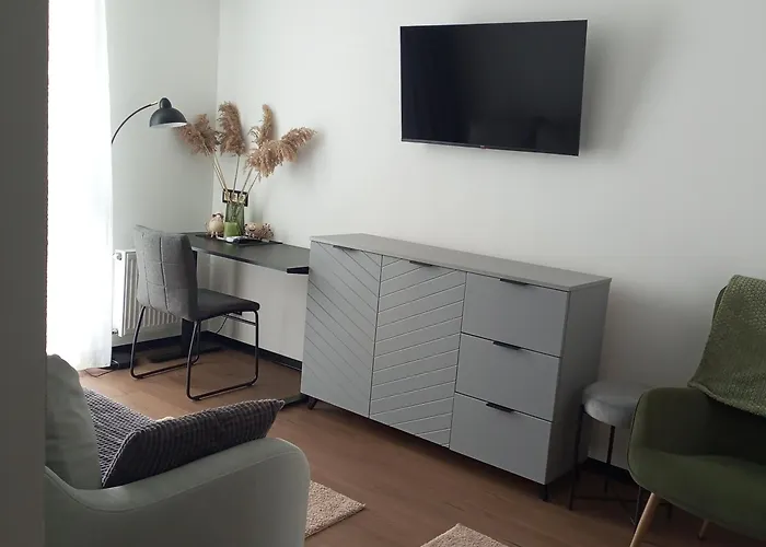 Apartamento New Near The Palm Tree Úzhgorod