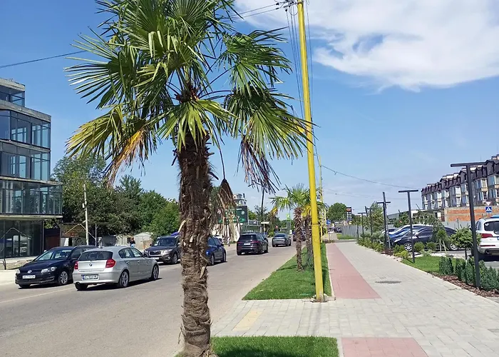New Near The Palm Tree Apartamento