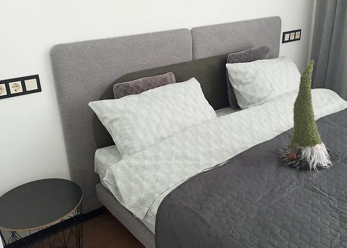 Apartamento New Near The Palm Tree *
